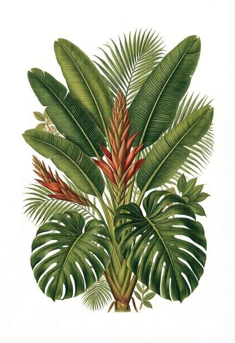 Botanical Dream poster