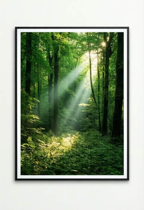 Nature art poster